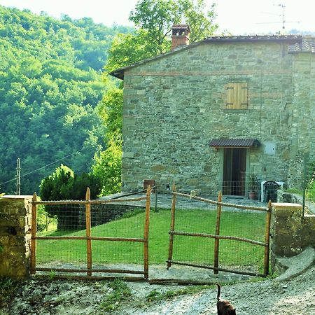 Casa Titina Riposo E Relax Nella Campagna Toscana Pratovecchio Ngoại thất bức ảnh