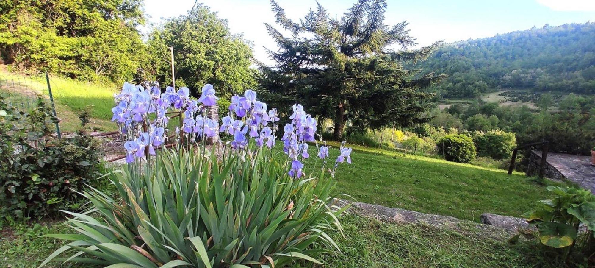 Casa Titina Riposo E Relax Nella Campagna Toscana Pratovecchio Ngoại thất bức ảnh
